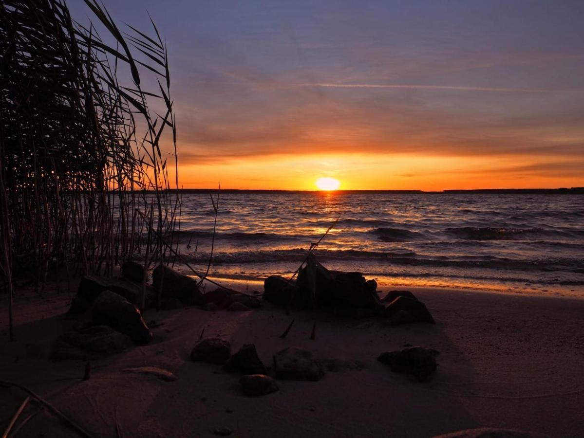 Altes Gewoelbe Mit Sauna Und Whirlpool Im Aussenbereich Elsterheide Exteriér fotografie